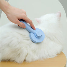 Afbeelding in Gallery-weergave laden, Cat Grooming Brush
