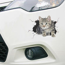 Afbeelding in Gallery-weergave laden, 3D-simulatie Leuke creatieve autostickers
