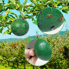 Afbeelding in Gallery-weergave laden, Opknoopbare Milieuvriendelijke Fruitvlieg Kleefvallen
