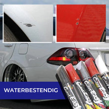 Afbeelding in Gallery-weergave laden, Auto Touch-Up Schilder

