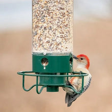 Afbeelding in Gallery-weergave laden, Eekhoorn bestendige vogelvoeder
