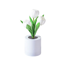 Afbeelding in Gallery-weergave laden, LED oplaadbaar tulp nachtlampje
