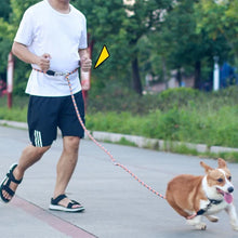 Afbeelding in Gallery-weergave laden, Handvrij Honden Riemen
