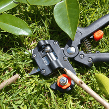 Afbeelding in Gallery-weergave laden, Domom® Professional Garden Enting Tool Kit

