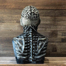 Afbeelding in Gallery-weergave laden, Verschrikkelijke skelet bioman masker
