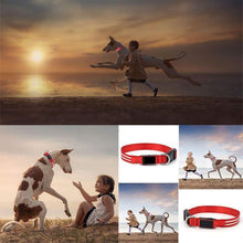Afbeelding in Gallery-weergave laden, LED-halsband voor huisdieren
