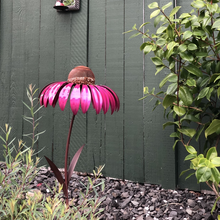Afbeelding in Gallery-weergave laden, Zonnehoed Vogelvoeder
