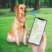 Afbeelding in Gallery-weergave laden, Huisdieren GPS-Tracker-Activiteitsmonitor Voor Honden en Katten
