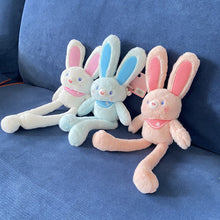 Afbeelding in Gallery-weergave laden, Knuffel Schattige Kleine Konijn
