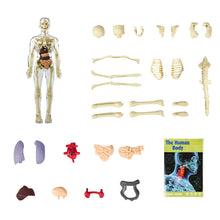Afbeelding in Gallery-weergave laden, 3D-anatomie skeletmodel speelgoed
