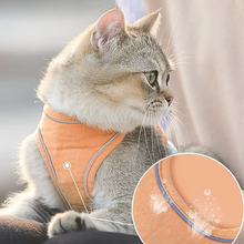 Afbeelding in Gallery-weergave laden, Set met harnas en riem voor kattenvest
