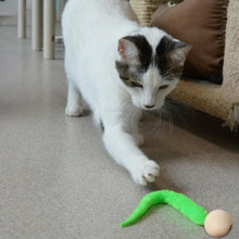 Afbeelding in Gallery-weergave laden, Wiggly Kattenspeelgoed met Bellen
