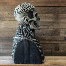 Afbeelding in Gallery-weergave laden, Verschrikkelijke skelet bioman masker
