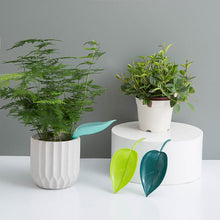 Afbeelding in Gallery-weergave laden, Funny Watering Leaves (6pcs)
