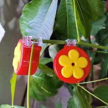 Afbeelding in Gallery-weergave laden, Flower Bar Hummingbird voeder
