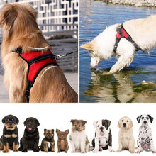 Afbeelding in Gallery-weergave laden, No-Pull hondentuig, verstelbaar harnas voor honden
