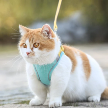 Afbeelding in Gallery-weergave laden, Set met harnas en riem voor kattenvest
