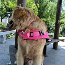 Afbeelding in Gallery-weergave laden, Dog Swimming Safe Jacket
