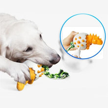 Afbeelding in Gallery-weergave laden, Dinosaur Eggs Kauwspeeltjes voor honden
