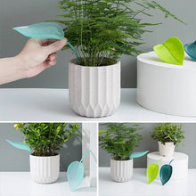Afbeelding in Gallery-weergave laden, Funny Watering Leaves (6pcs)
