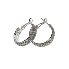 Afbeelding in Gallery-weergave laden, Sparkle kleine oorringen

