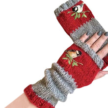 Afbeelding in Gallery-weergave laden, Warme geborduurde handschoenen met patchwork
