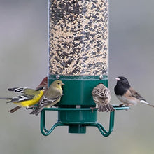 Afbeelding in Gallery-weergave laden, Eekhoorn bestendige vogelvoeder
