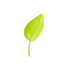 Afbeelding in Gallery-weergave laden, Funny Watering Leaves (6pcs)
