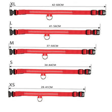 Afbeelding in Gallery-weergave laden, LED-halsband voor huisdieren
