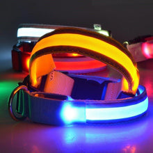 Afbeelding in Gallery-weergave laden, LED-halsband voor huisdieren
