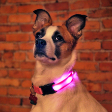 Afbeelding in Gallery-weergave laden, LED-halsband voor huisdieren
